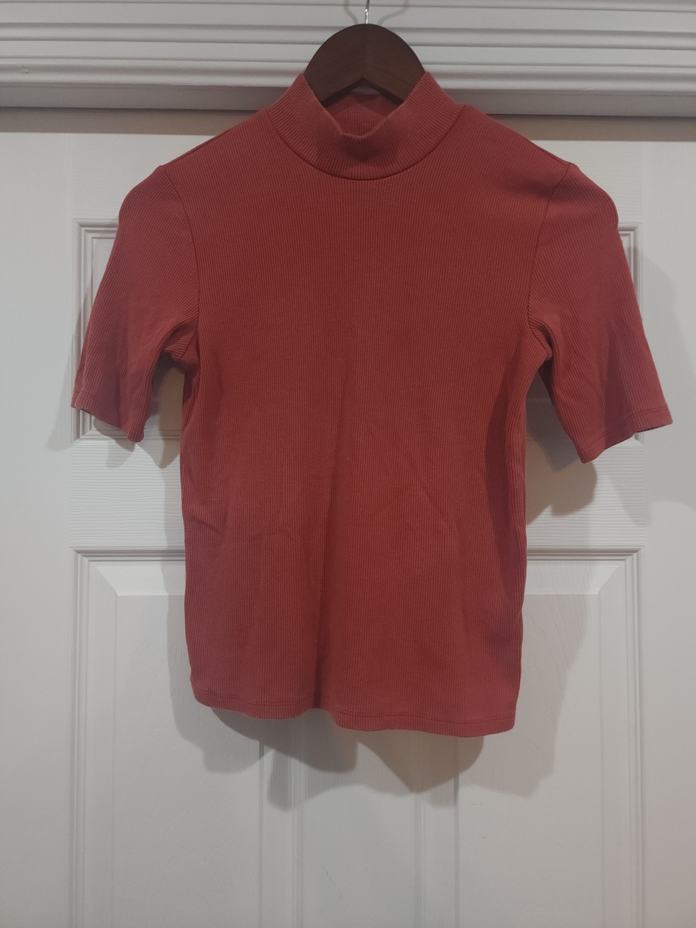 Marine Layer Ribbed Mock Neck Short Sleeve Tee in Rust